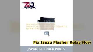 Isuzu Flasher Relay 066500 3720 Replacement Guide